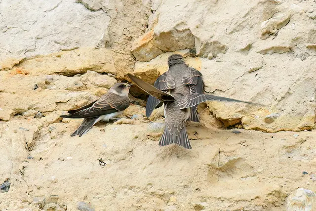 Foto: Copyright Andreas Schäfer