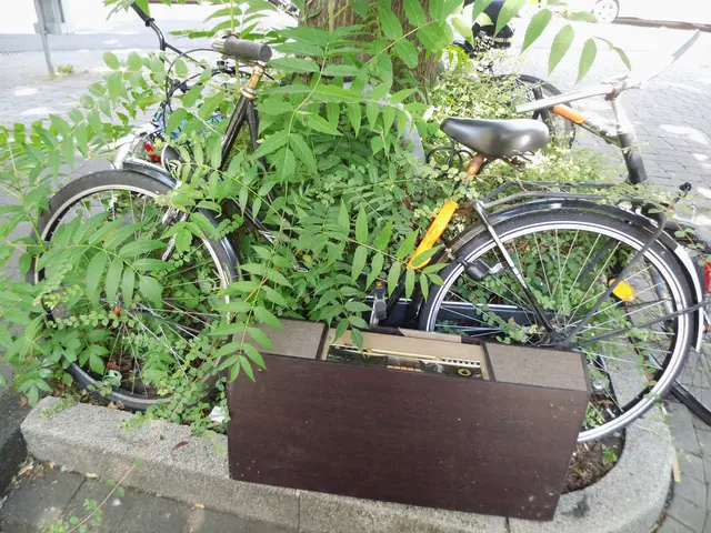 Aufkleber Stadt Wesel zur Aufforderung der Entfernung, an Fahrrad welches in Wesel in einer Grünanlage steht. | Foto: Siegmund Walter, 17.07.2026, 12:39 Uhr