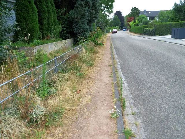 Unbefestigter Gehweg in Wesel-Obrighoven | Foto: Siegmund Walter, 18.07.2026, 12:31 Uhr