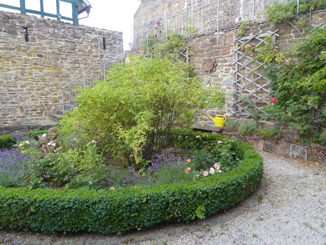 Rosengarten 2026-29b, 19.07.2026.