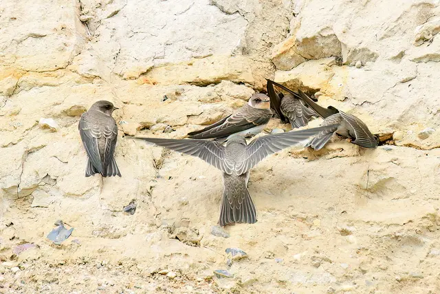 Foto: Copyright Andreas Schäfer