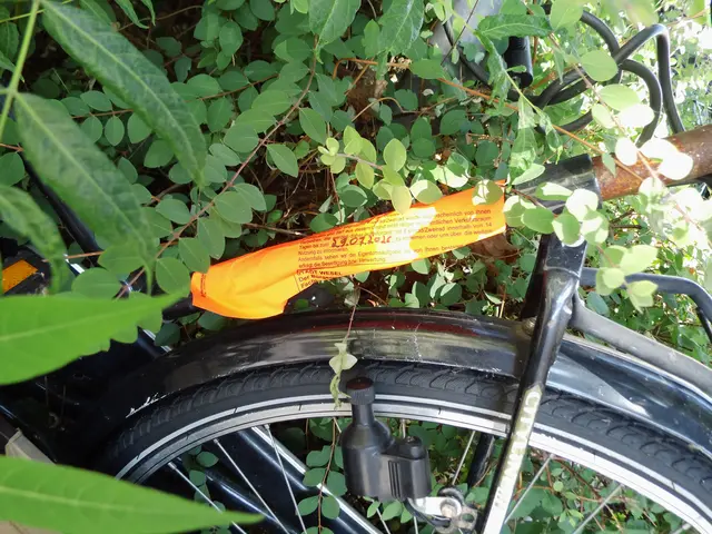 Aufkleber Stadt Wesel zur Aufforderung der Entfernung, an Fahrrad welches in Wesel in einer Grünanlage steht. | Foto: Siegmund Walter, 17.07.2026, 12:39 Uhr