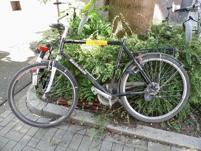 Aufkleber Stadt Wesel zur Aufforderung der Entfernung, an Fahrrad welches in Wesel in einer Grünanlage steht. | Foto: Siegmund Walter, 17.07.2026, 12:38 Uhr