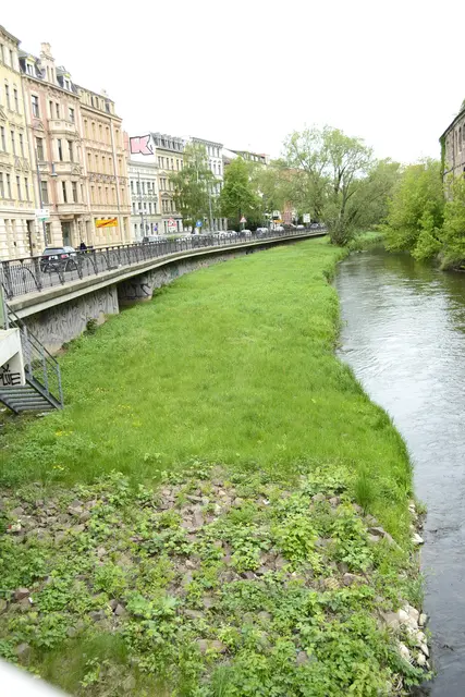 vorher, eine Wohlfühloase für Bisamratten 