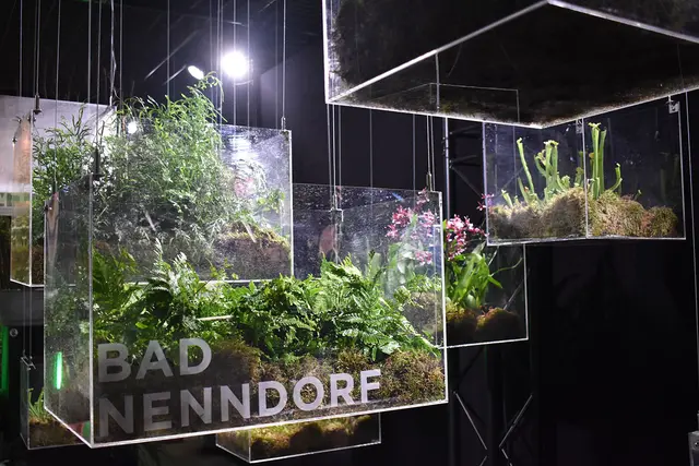 Eindrücke von der Landesgartenschau
