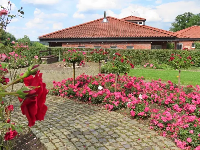 Rosengarten Seppenrade