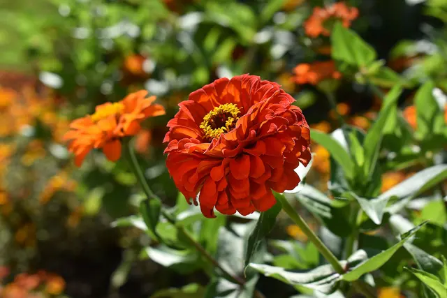 Eindrücke von der Landesgartenschau
