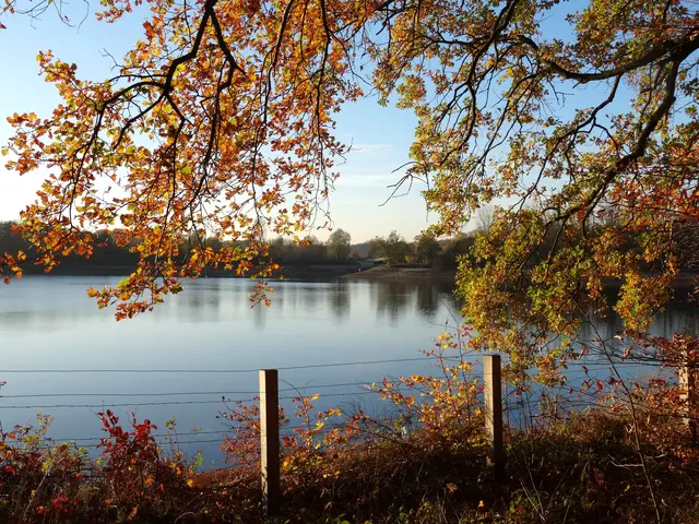 Hullerner Stausee / Haltern
