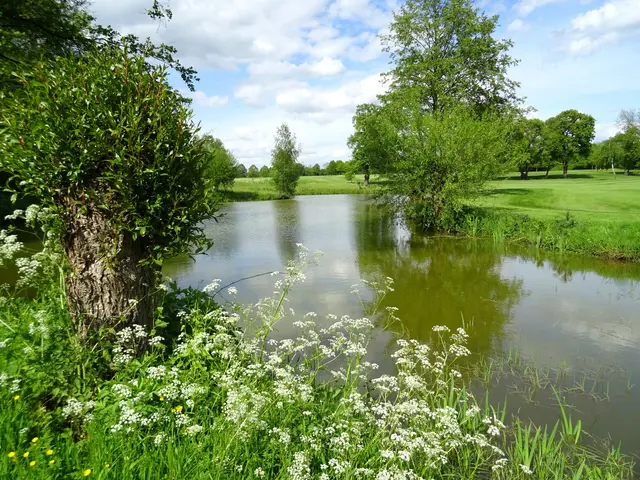 Umland Schloss Westerwinkel