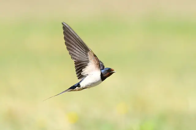 Foto: Copyright Andreas Schäfer