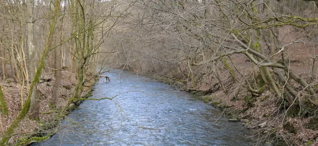 Wipper bei Wipperfürth