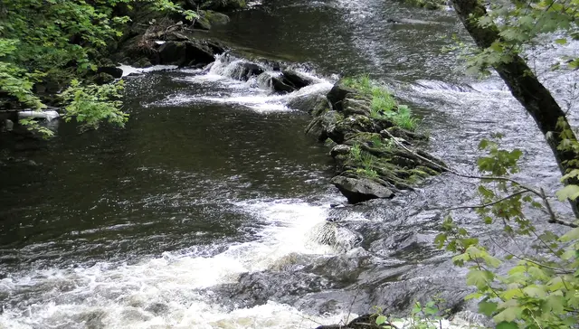 Rur bei Monschau