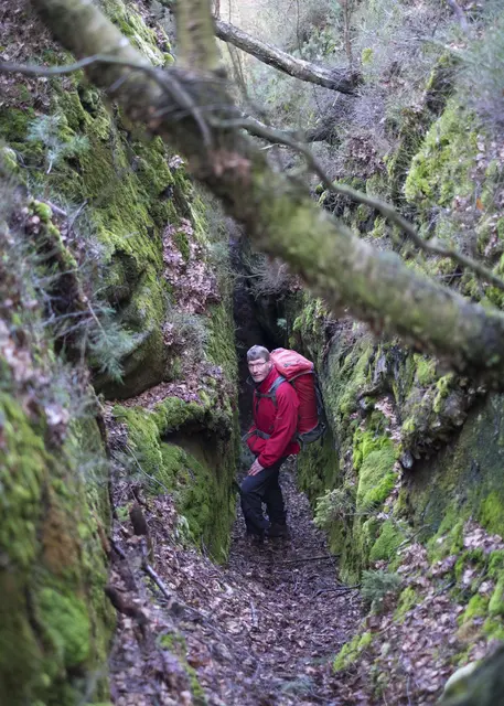 Wir wählen von der Bastei im Abstieg zur Elbe den abenteuerlichen Pfad durch den Hirschgrund. | Foto: Markus Wolter