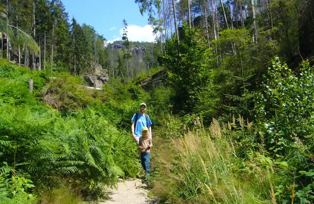 Der Abstieg führt uns über steile, felsige Pfade, auch mit Kletterei, durch die urwüchsige Natur des Nationalparkts. | Foto: Kurt Wolter