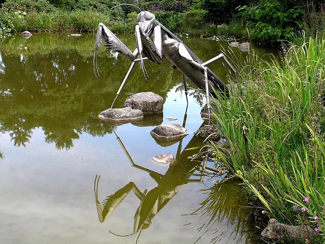 Gartenteich
