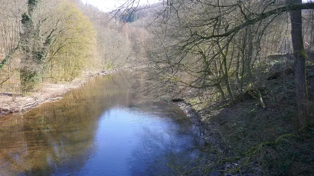 Wupper bei Solingen