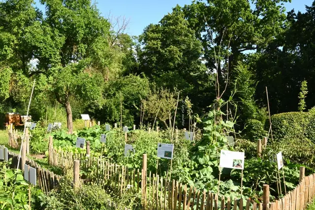 Heilpflanzengarten Celle