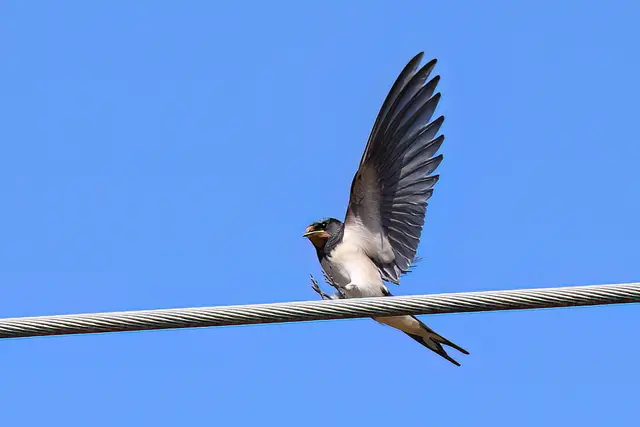 Foto: Copyright Andreas Schäfer