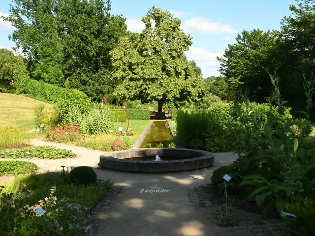 Heilpflanzengarten Celle