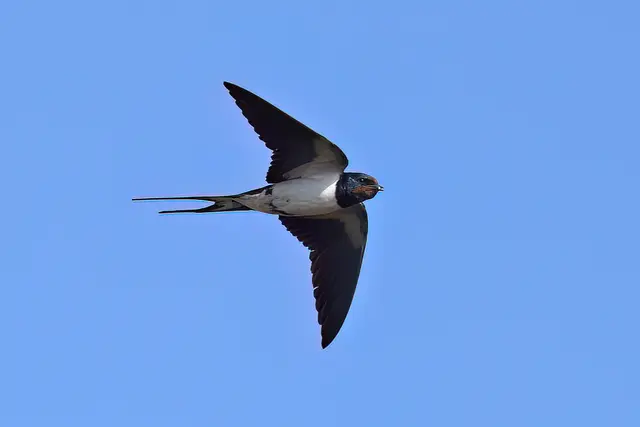 Foto: Copyright Andreas Schäfer