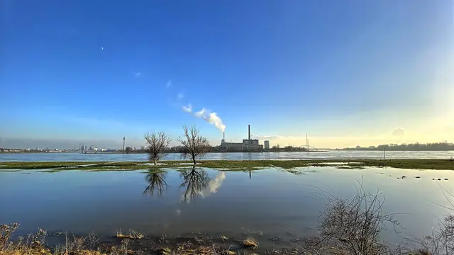 Hochwasser, Düseldorf-Heerdt mit Rheinturm | Foto: copyright Margot Klütsch