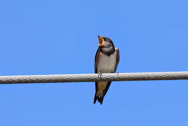 Foto: Copyright Andreas Schäfer