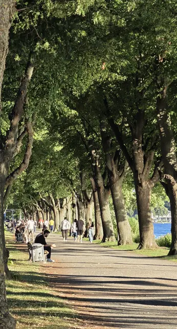 Spaziergänger am Maschsee, Bewegung zu Fuß