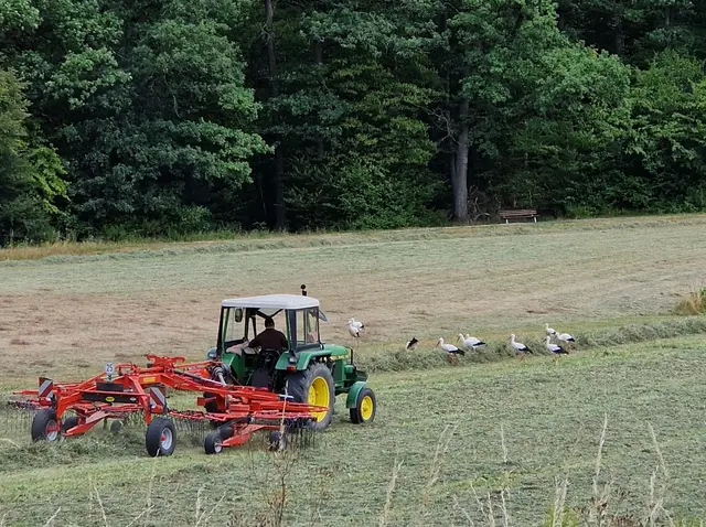 Auch der Landwirt erfreut sich an den Anblick der Störche