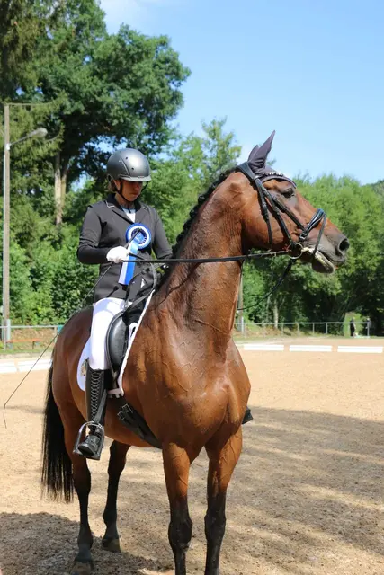Corinna Danninger | Foto: Reitverein