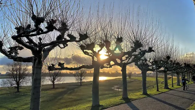 Rheinpromenade Düsseldorf-Heerdt | Foto: copyright Margot Klütsch