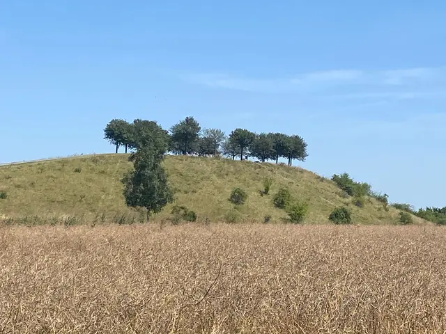 Zuerst ging es zum höchsten Berg Hannovers. Das ist der Kronsberg mit 118 Meter.