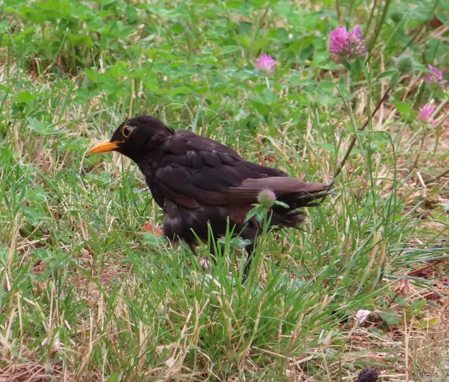 "Mal gucken" ...  | Foto: M. A.