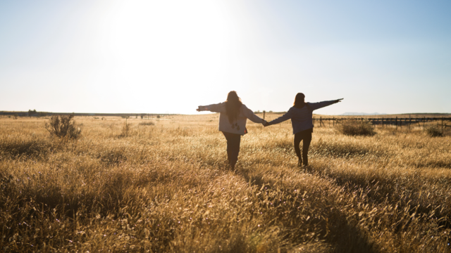 Foto: Von: Cavan for Adobe  Quelle: Adobe Stock  Asset-ID-Nr.: 279234158