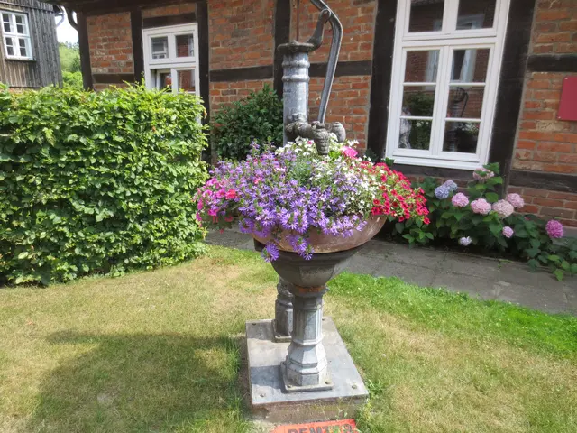 Ein schöner Blickfang