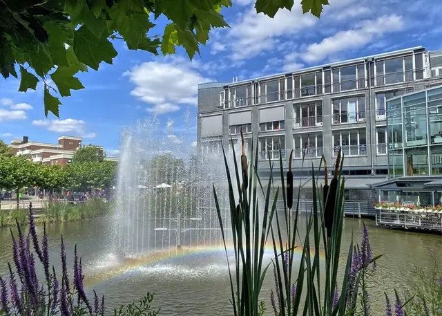 Erfrischung mit Regenbogen | Foto: copyright Margot Klütsch