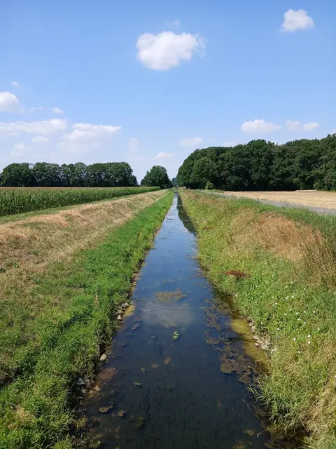 Die Issel zwischen Wesel/Obrighoven und Hamminkeln führt Niedrigwasser. Laut dem vor Ort Lattenpegel: 0,50 m. | Foto: Siegmund Walter, 25.07.2026, 13:26 Uhr