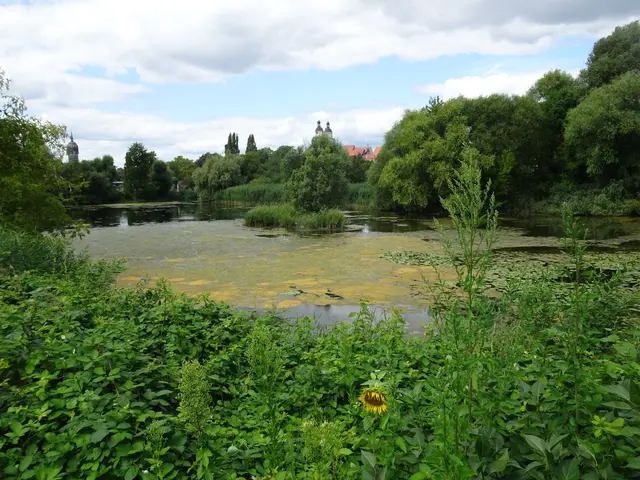 Das Multifunktionsgebäude und der Stadtgrabenteich liegen sich in der Neugestaltung des Areals direkt gegenüber
