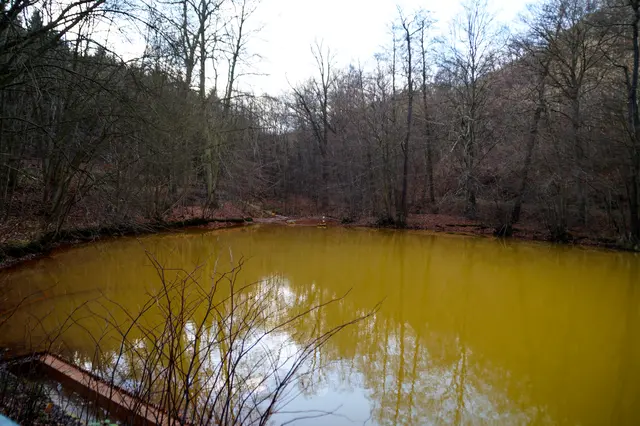 der Menzingteich, auch Mensingteich genannt im Jahre 2015