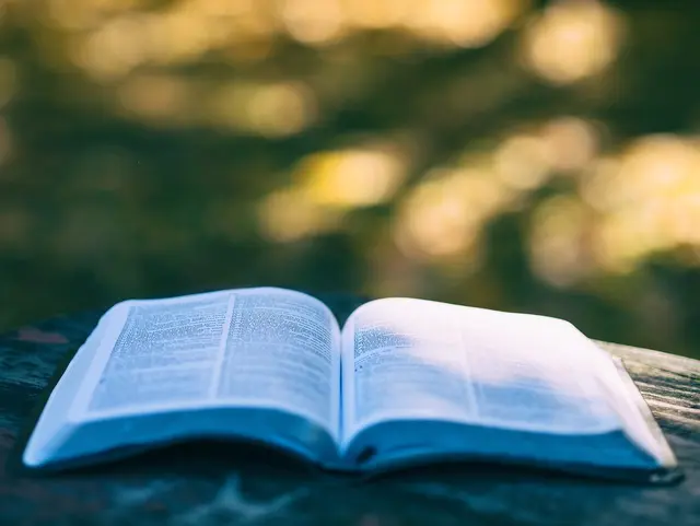 Buch auf Holz