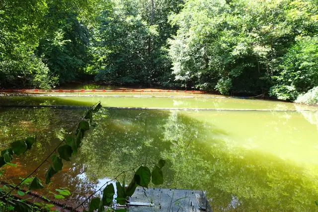 Menzingteich im Jahre 2026, die zwischenzeitlich durchgeführten Sanierungsmaßnahmen haben zu einem sichtbaren Erfolg geführt