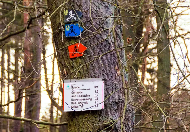 originelle Wegweiser oberhalb des Wegeschildes