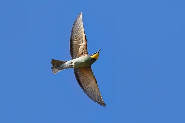 Foto: Copyright Andreas Schäfer
