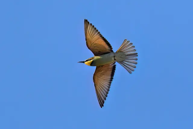 Foto: Copyright Andreas Schäfer