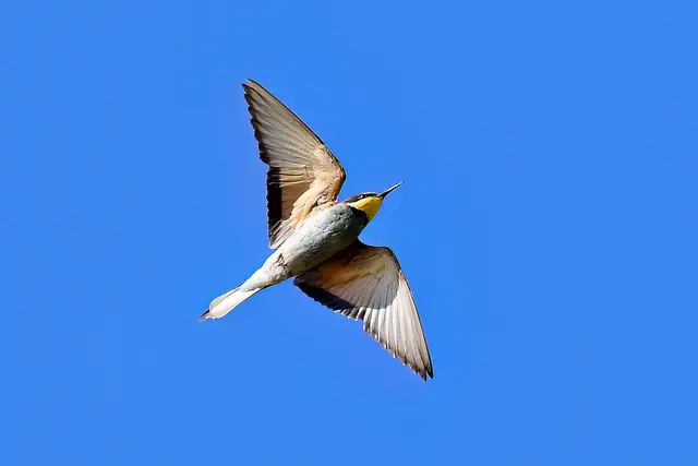 Foto: Copyright Andreas Schäfer