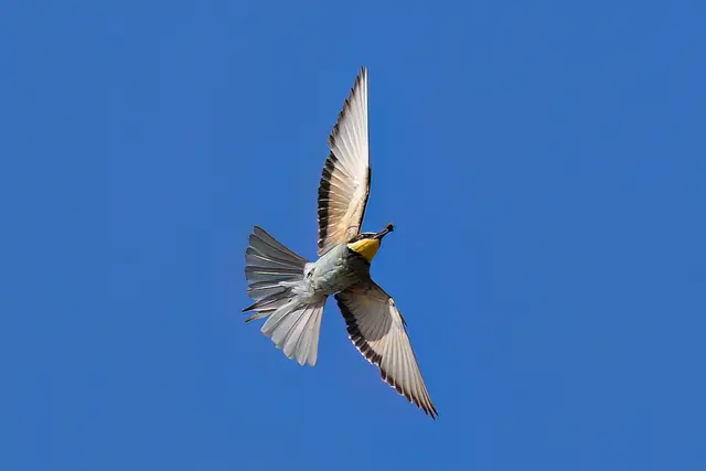 Foto: Copyright Andreas Schäfer