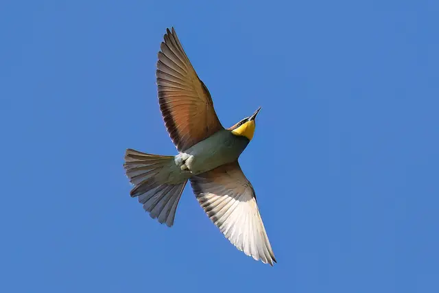 Foto: Copyright Andreas Schäfer