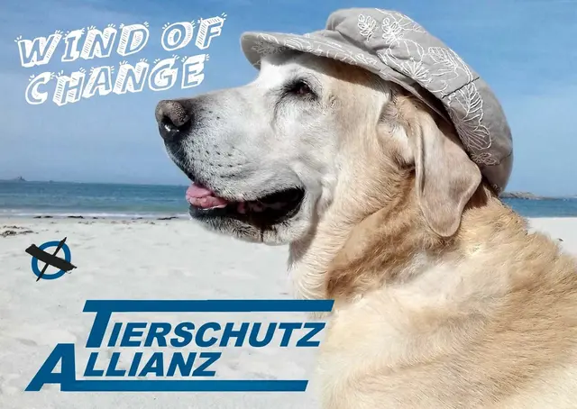 Foto: https://www.tierschutzallianz.de