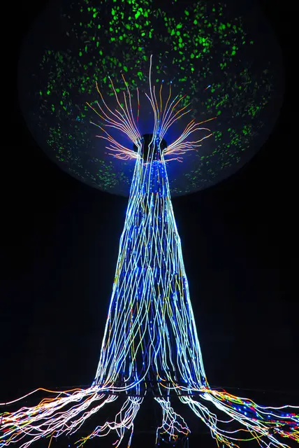 Der Baum 35m hoch