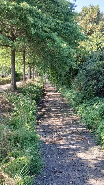 Ausgetrocknetes Rotbach-Bachbett in Dinslaken. 
Etwa 4,4 Kilometer vor der Einmündung in den Rhein.
Links im Bild der Rotbach-Weg.
Kameraperspektive: Bachbrücke | Foto: Siegmund Walter, 02.08.2026, 16:05 Uhr