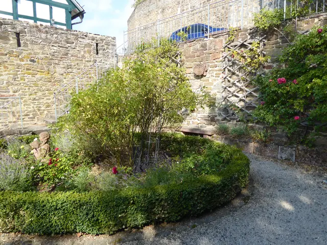 Rosengarten 2026-32a, 03.08.2026.